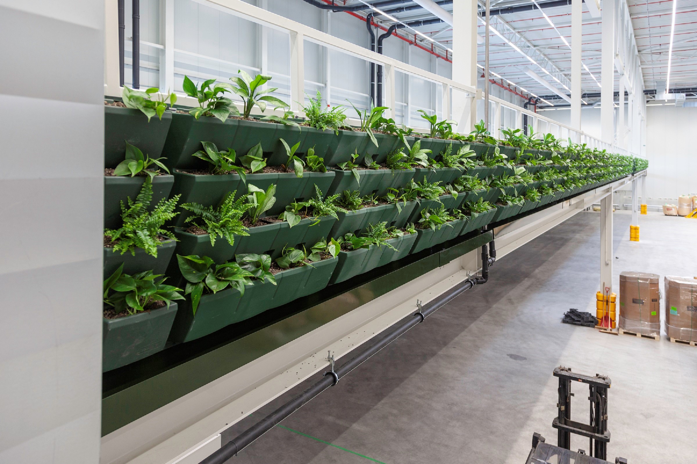 Prologis feature WELL Building Standard plants