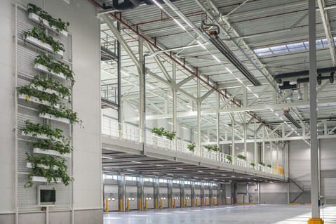 Fourth quarter and full year 2020 activity - Prologis Europe