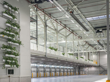 Fourth quarter and full year 2020 activity - Prologis Europe
